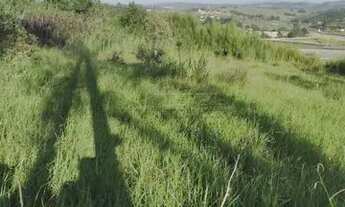 Imagem: Rural Fazenda, Sítio e Chácara em Jacarei