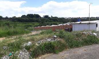 Imagem 6: Área Projeto Aprovado 17 casas - Senador Canedo