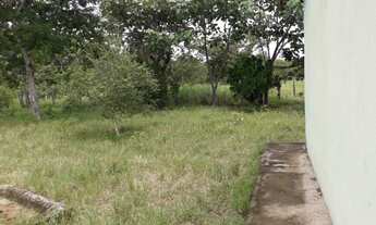 Imagem 3: Vendo uma fazenda no municipio de conceiçao do tocantins