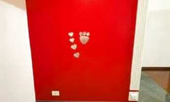 Imagem 2: Venda Residential / Apartment Vila Albertina São Paulo