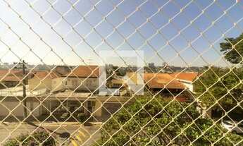 Imagem 7: Apartamento para Aluguel - Morumbi, 5 Quartos, 173 m2