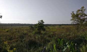 Imagem 5: Conde, bahia, litoral norte 190 tarefas 2000 coqueiros