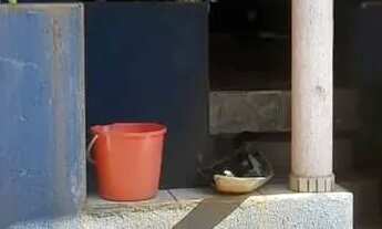 Imagem 6: Casa a venda Casa com 3 dormitórios