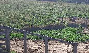 Imagem: Vende se Chacara em jaragua go