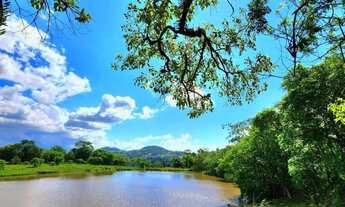 Imagem 7: Sítio / Chácara para Venda em Linha Nova, Linha Nova