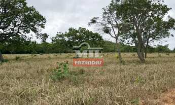 Imagem 2: Fazenda 131,7 alqueires (637,4 hectares) São Luiz do Norte - Go