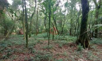 Imagem 6: Terreno à Venda em Canela!