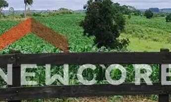 Imagem 3: Sítio em Rua Saldanha Marinho - Centro - Itapetininga/SP