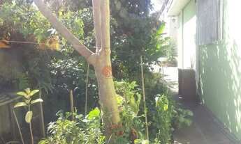 Imagem 7: Terreno à venda, 1439 m² por R$ 2.800.000,00 - Vila Bancária - São Paulo/SP