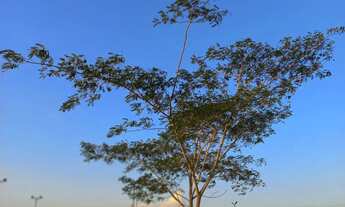 Imagem 2: Lote Plano no Jardim das Tulipas !