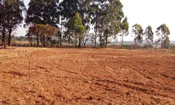 Imagem 2: Vendo terreno 5mil metros