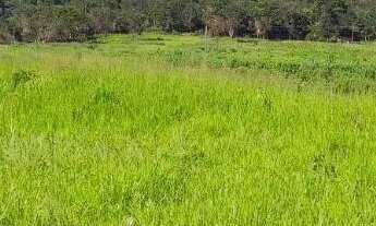Imagem: Vendo gleba 2hectares região da comunidade