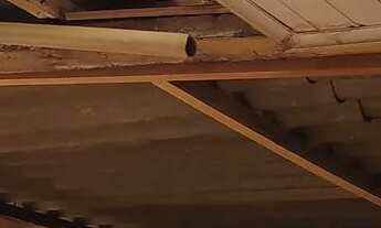 Imagem 4: VENDO CASA ANTIGA EM BAIRRO NOBRE. Casa de 100 m² em terreno de 324 m²