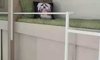 Imagem 7: Apartamento para aluguel tem 70m² com 3 quartos - temporada - Governador Celso Ramos