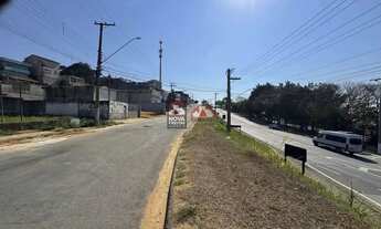 Imagem 4: Terreno comercial / industrial para locação ou venda na av. André Franco Montoro em Jacare