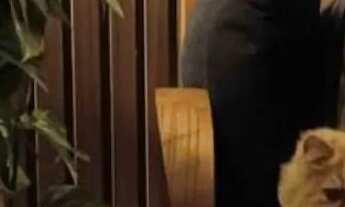 Imagem 2: Casa a venda Rio Negrinho