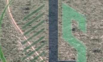 Imagem 2: Vendo Fazenda 410 hectares