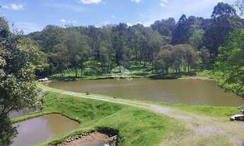 Imagem 3: Propriedade Rural de 3,95 Hectares