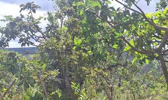 Imagem 3: Lotes de 30.000m² em Três Marias com entrada a partir de 15 mil