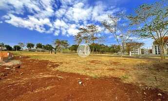 Imagem 4: Terreno de uso misto com 375m² para alugar no Terras de Santa Martha em Ribeirão Preto