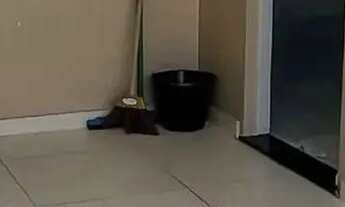 Imagem 4: VENDO CASA NO PROMORAR 3 SUITES