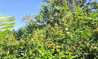 Imagem 6: Lotes à venda no Balneário Ponta da Fruta - Interlagos 2, investimento, parcelo, troco lea