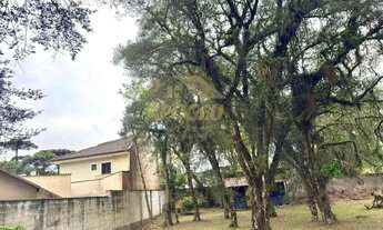 Imagem 5: Vendo terreno estrutural em Piraquara