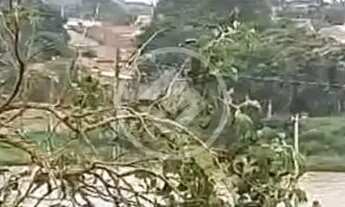 Imagem 4: 2 LOTES codigo: 265573