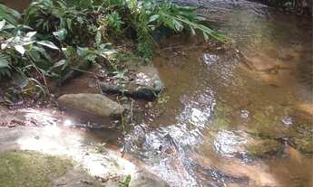 Imagem 6: Chácaras de 3mil mt com córrego nao perca essa oportunidade!