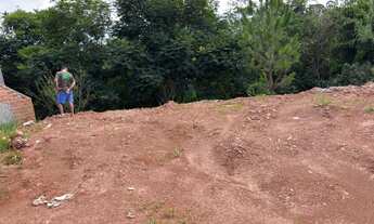 Imagem 6: Terreno shangrila