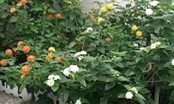 Imagem 6: Apartamento em Rua Dona Vitória Yunes Stefano - Enseada - Guarujá/SP