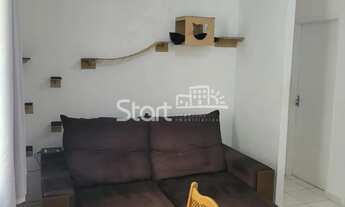 Imagem 3: Apartamento - São Bernardo - Campinas