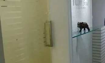 Imagem 6: CONJ. COMERCIAL - SAÚDE - SP