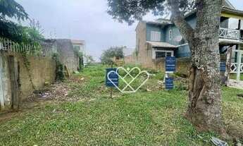 Imagem 3: Oportunidade Imperdível: Terreno Espaçoso no Bairro Dona Mercedes!