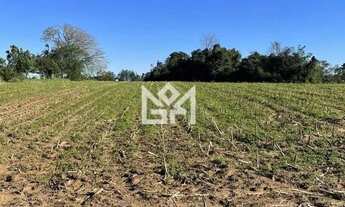 Imagem 4: Casa à venda no bairro Parque Itacolomi em Gravataí com 25.000m² de área total