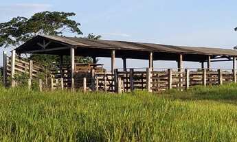 Imagem: 62 alqueires no Pará a, zap R$ 2.500.000,00