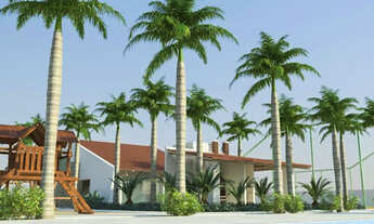 Imagem: TS Ótimos lotes em condominio fechado-300mt