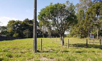 Imagem 2: Excelente Terreno em Palmeira Pr. Ótimo Investimento!
