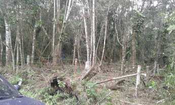 Imagem 7: Terreno em área retro portuária