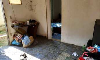 Imagem 3: 03 casas cosmos cód 538