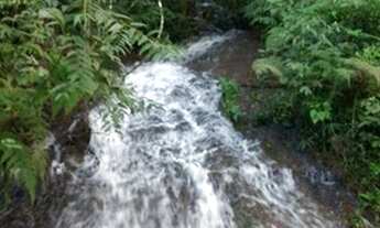 Imagem 7: Sítio / Chácara para Venda em Linha Nova, Linha Nova