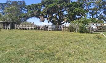 Imagem 6: Campo 125ha para Pecuária em Capivari RS