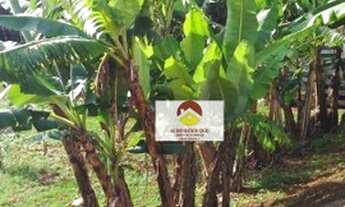 Imagem 5: Sítio à venda, 28300 m² por R$ 420.000,00 - Alterosa - Alterosa/MG