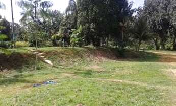 Imagem 3: Terreno com acesso a Cachoeira em Balbina/ Km 62/ Uma propriedade espetacular/ Árvores fru