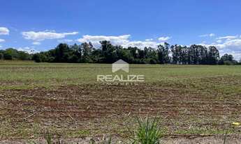 Imagem 2: Área de terra Rural no Cognópolis em Foz do Iguaçu, PR. Divisa com a futura Perimetral Les