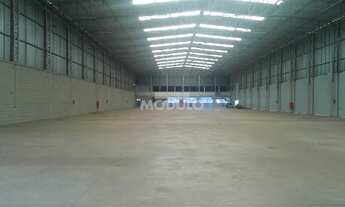 Imagem 6: Aluguel Barracão SAO JOAO