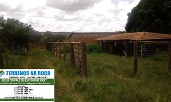 Imagem 7: Fazenda em João Pinheiro MG 280 hectares 3 nascentes aceito imóvel em Sao Paulo
