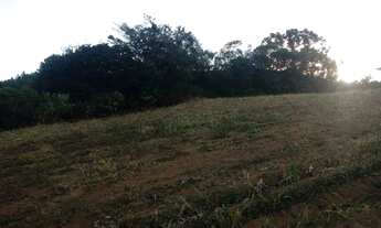 Imagem 6: Grande Oportunidade!! Belíssima Chácara com Área de 12.000m², em Marmelópolis/MG