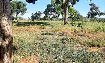 Imagem 5: Fazendinhas 20000 com estrutura e pertinho de você