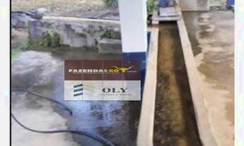 Imagem 7: Fazenda Premium ! 210 Alqueires - Região de Piranhas - GO ! Oportunidade !